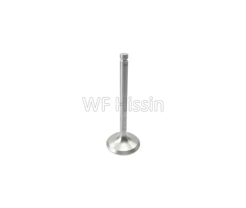 Intake valve SL